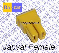 Japval Female